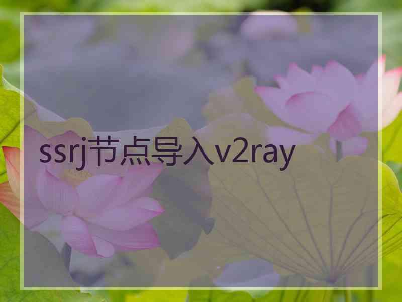 ssrj节点导入v2ray