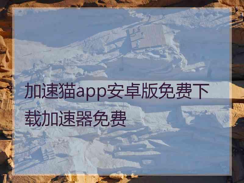 加速猫app安卓版免费下载加速器免费