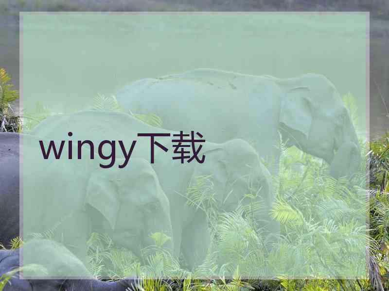 wingy下载