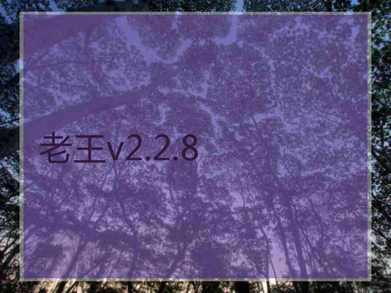 老王v2.2.8