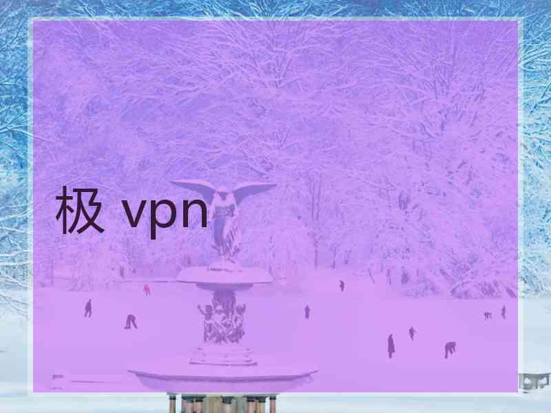 极 vpn