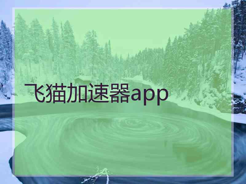 飞猫加速器app