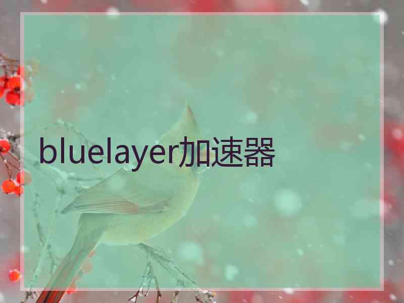 bluelayer加速器