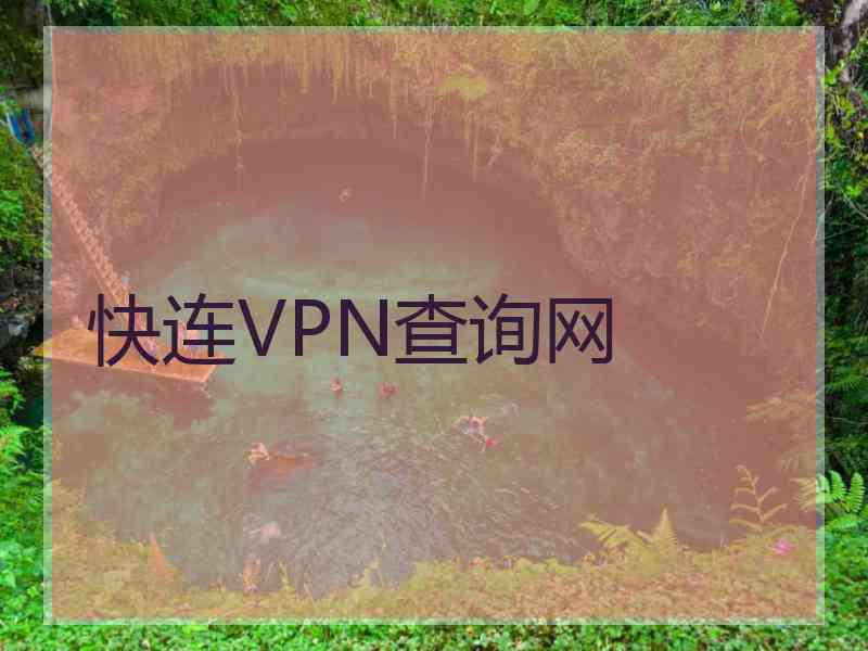 快连VPN查询网