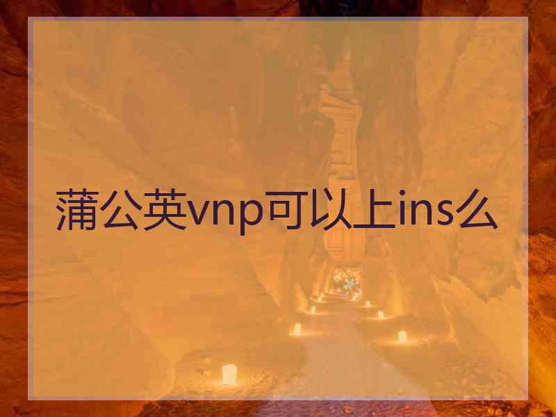 蒲公英vnp可以上ins么