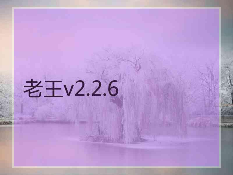 老王v2.2.6