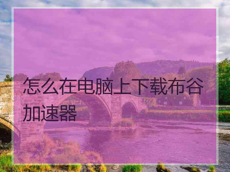 怎么在电脑上下载布谷加速器