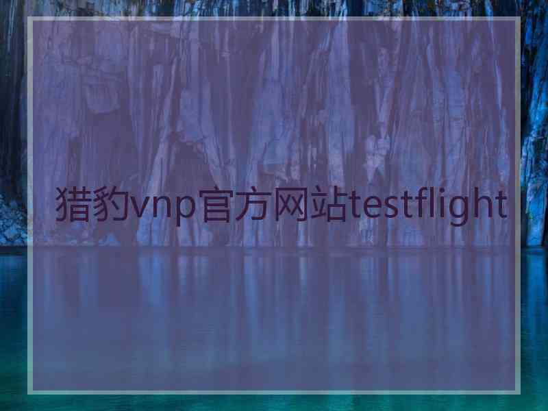 猎豹vnp官方网站testflight