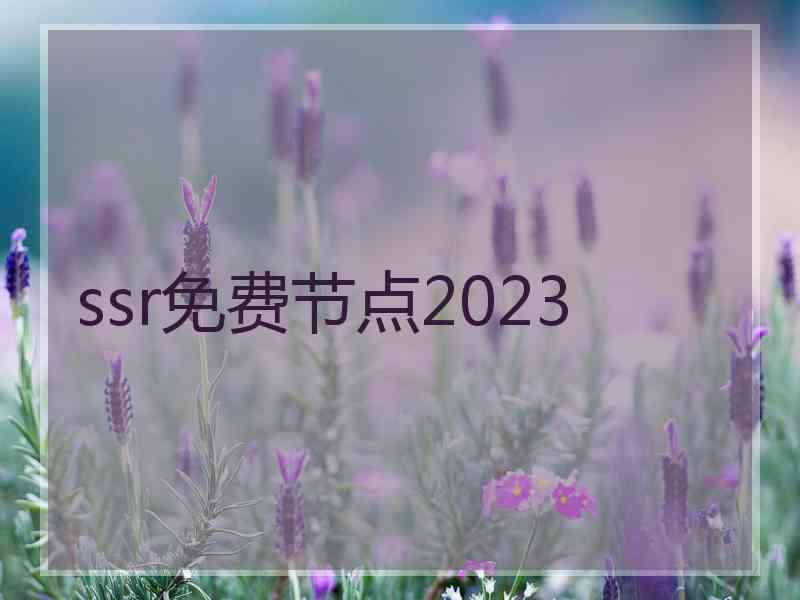 ssr免费节点2023