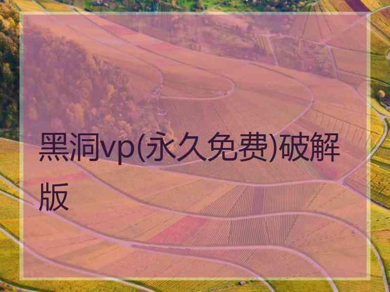 黑洞vp(永久免费)破解版