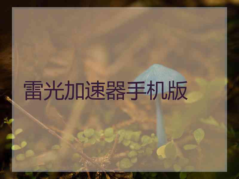 雷光加速器手机版