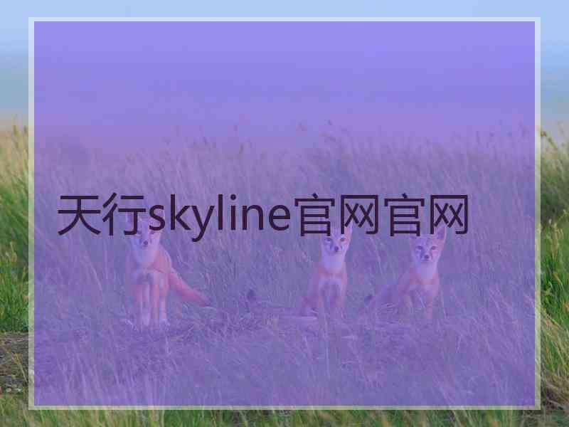 天行skyline官网官网