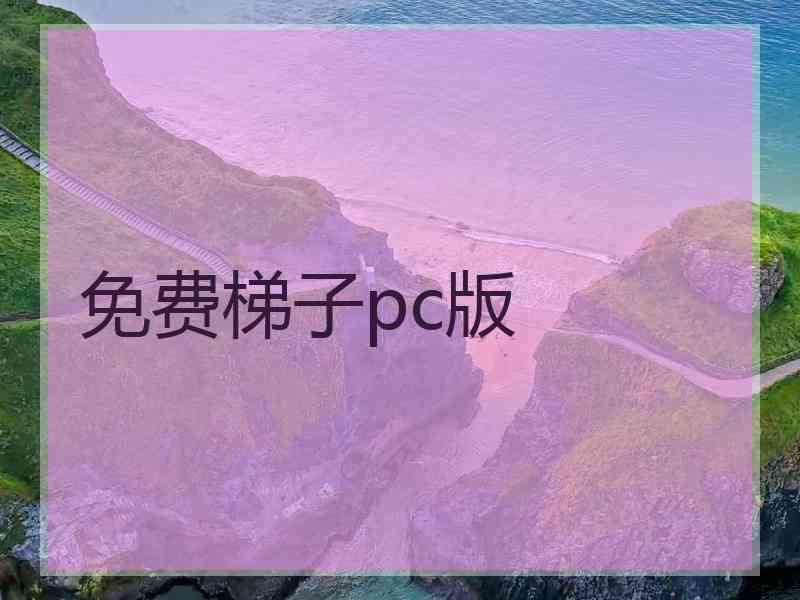 免费梯子pc版