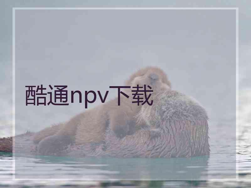 酷通npv下载