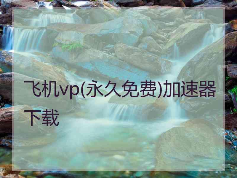 飞机vp(永久免费)加速器下载