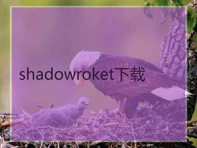 shadowroket下载