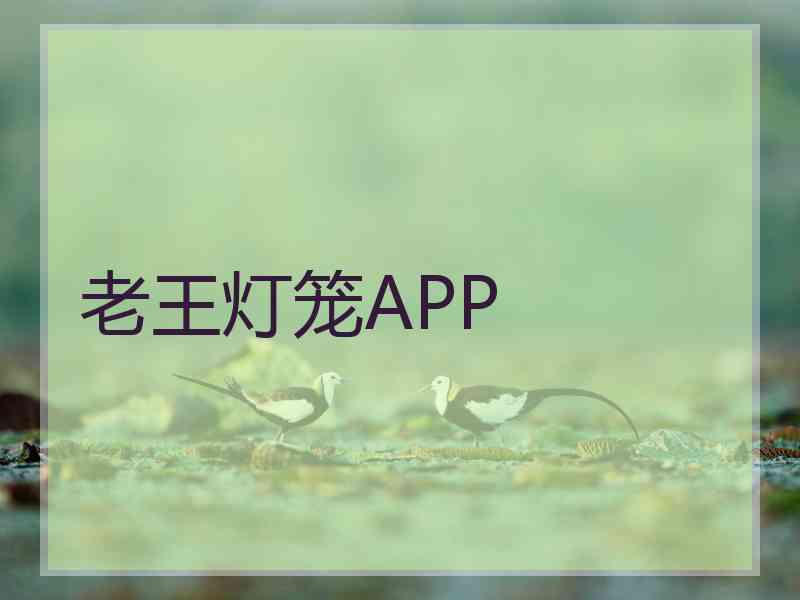 老王灯笼APP