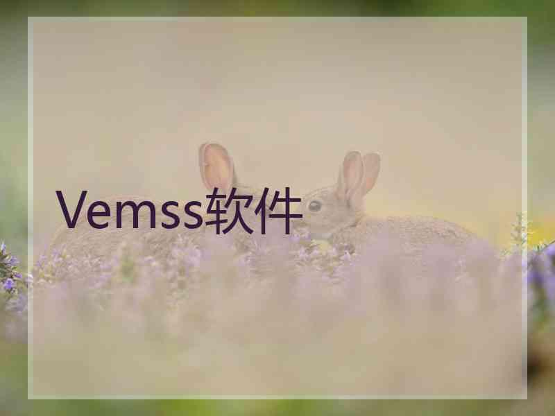 Vemss软件