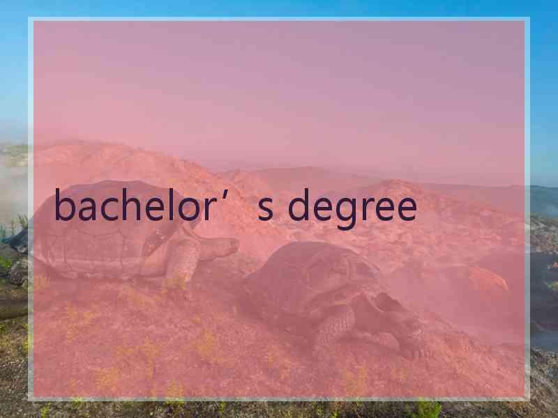 bachelor’s degree