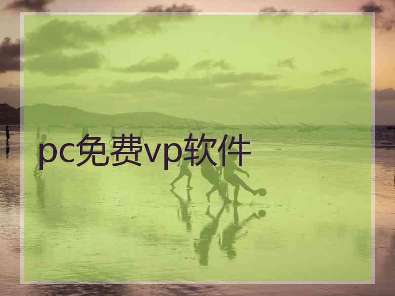 pc免费vp软件