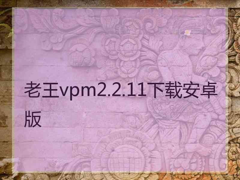 老王vpm2.2.11下载安卓版