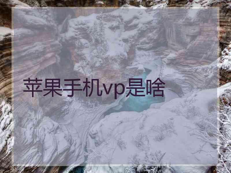 苹果手机vp是啥