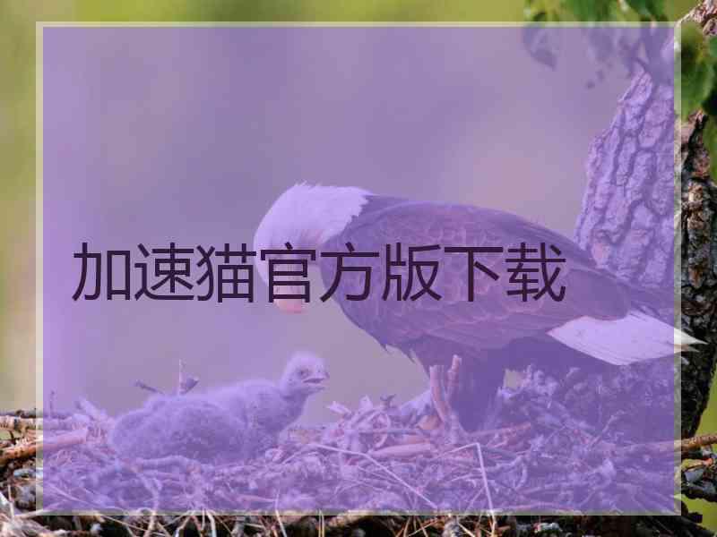 加速猫官方版下载