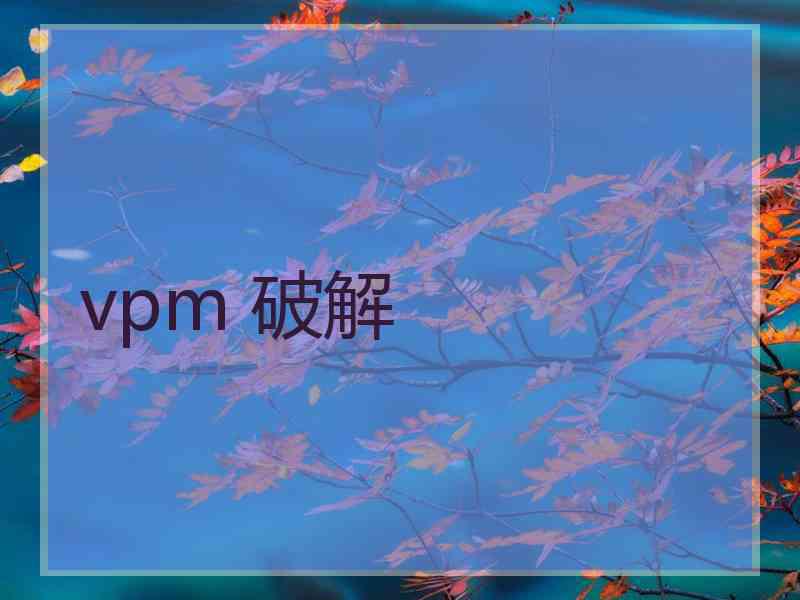 vpm 破解