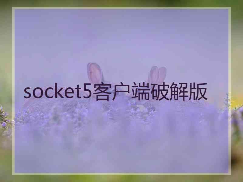 socket5客户端破解版