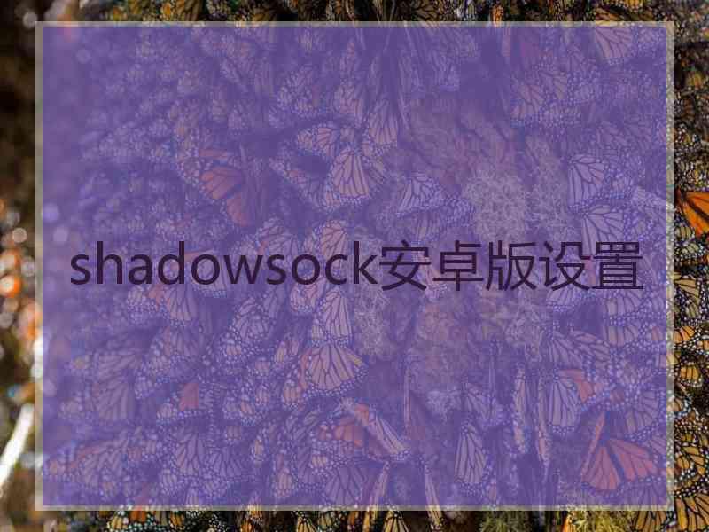 shadowsock安卓版设置