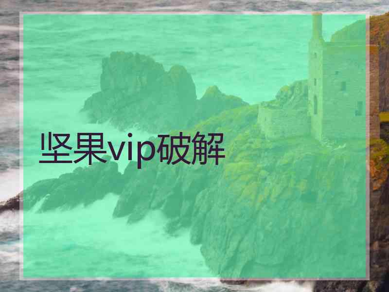 坚果vip破解