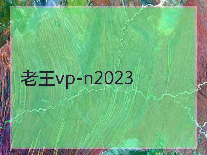 老王vp-n2023