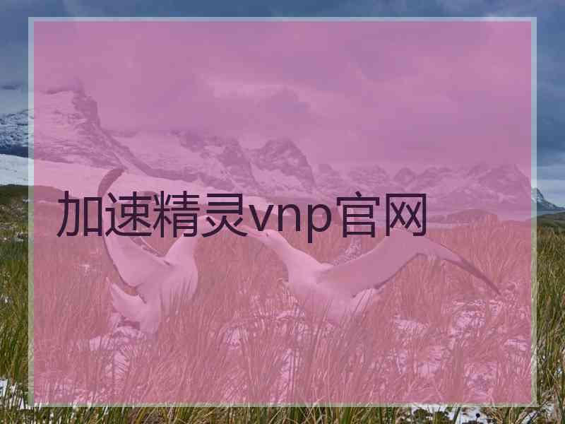 加速精灵vnp官网