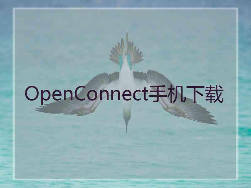 OpenConnect手机下载