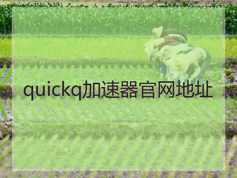 quickq加速器官网地址