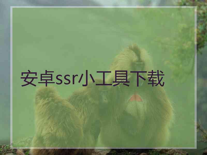 安卓ssr小工具下载