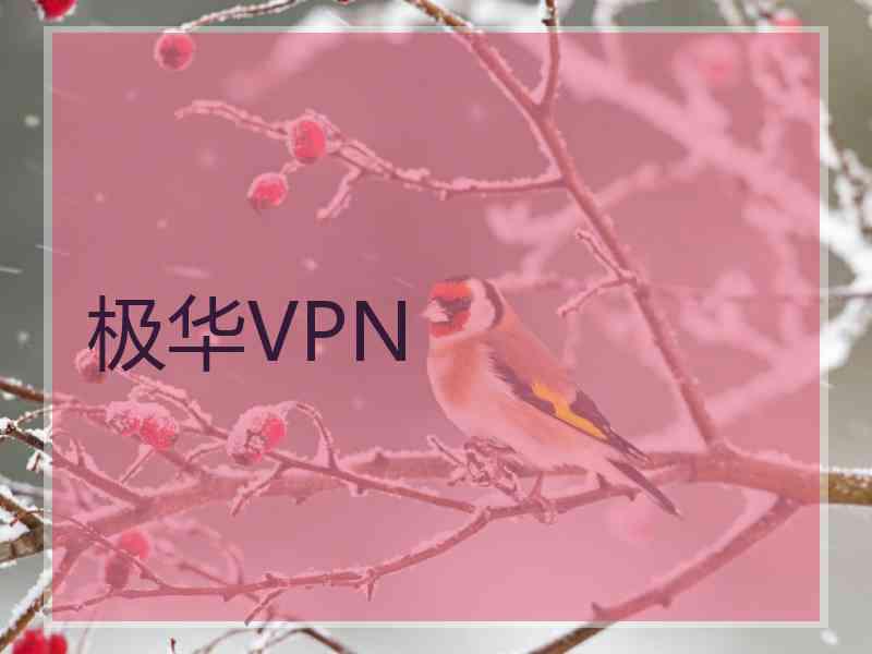 极华VPN