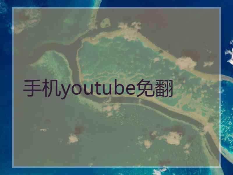 手机youtube免翻