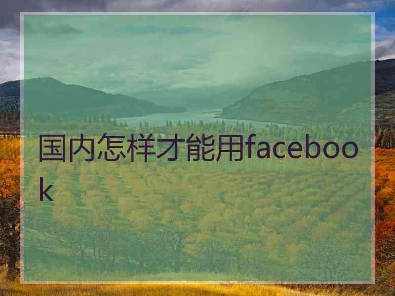 国内怎样才能用facebook