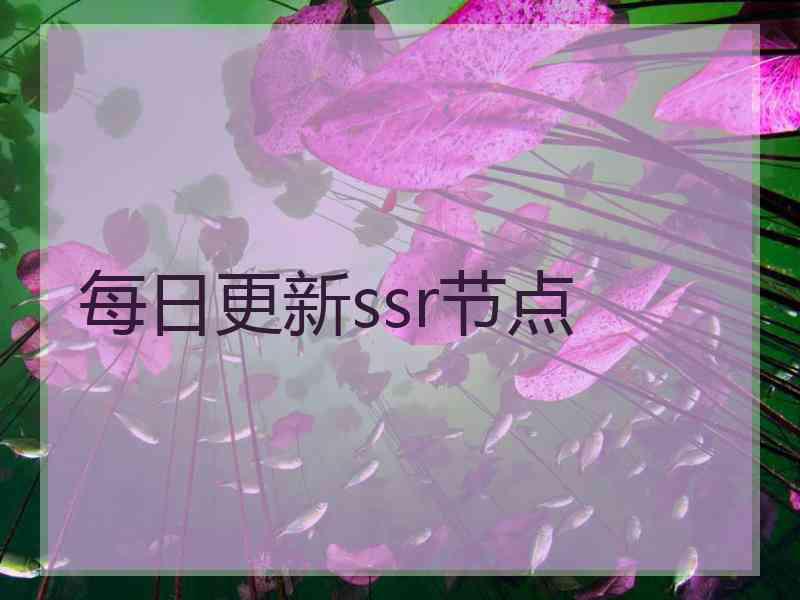 每日更新ssr节点