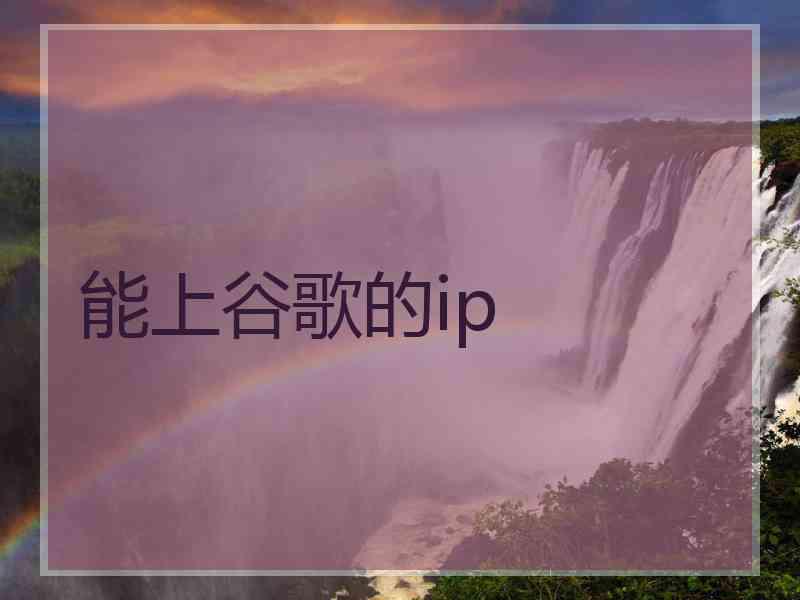 能上谷歌的ip