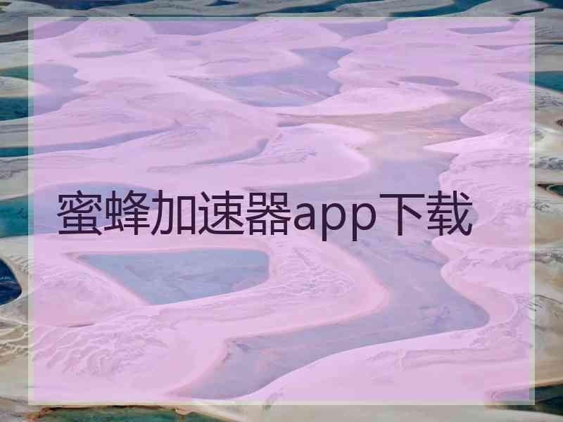 蜜蜂加速器app下载