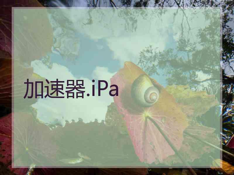 加速器.iPa