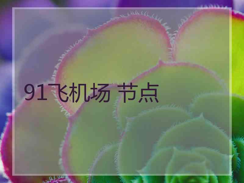 91飞机场 节点