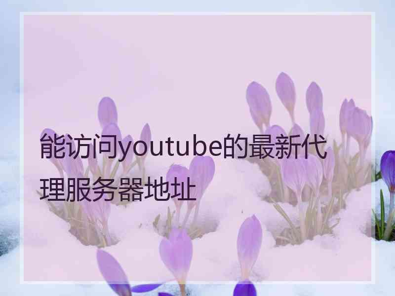 能访问youtube的最新代理服务器地址