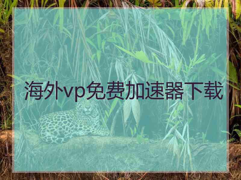 海外vp免费加速器下载