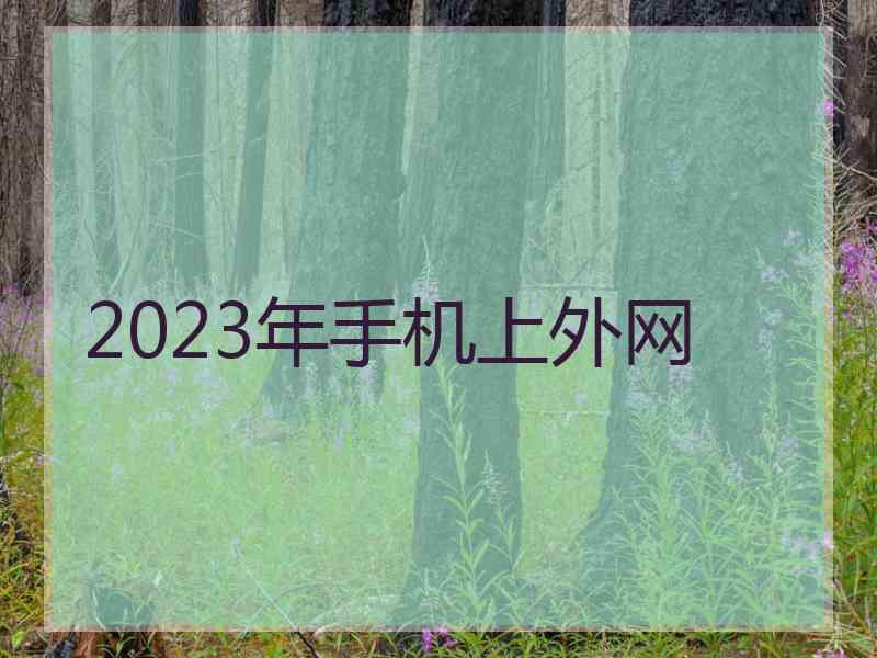 2023年手机上外网