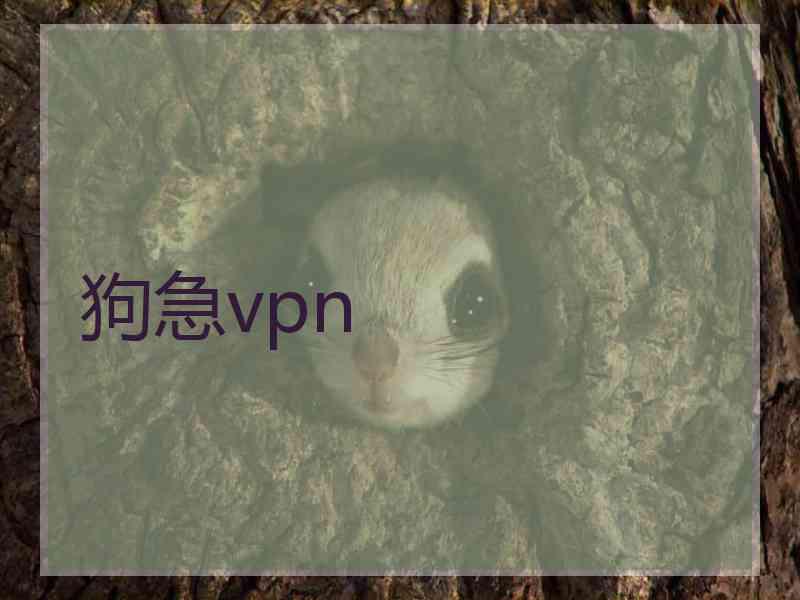 狗急vpn