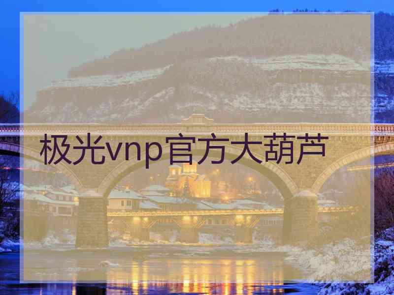 极光vnp官方大葫芦