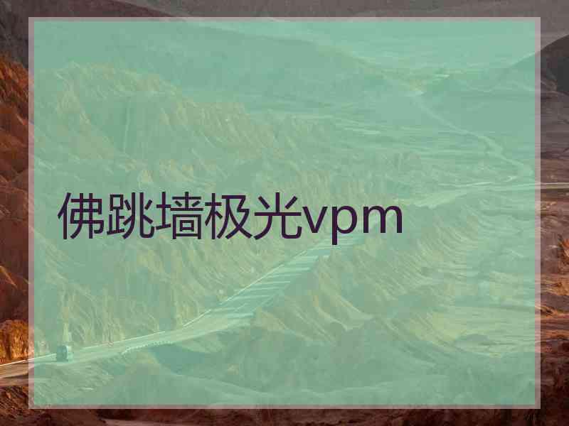 佛跳墙极光vpm